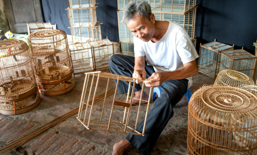 Conheça carreiras que exigem menos esforço físico e aproveitam o conhecimento acumulado ao longo da vida.