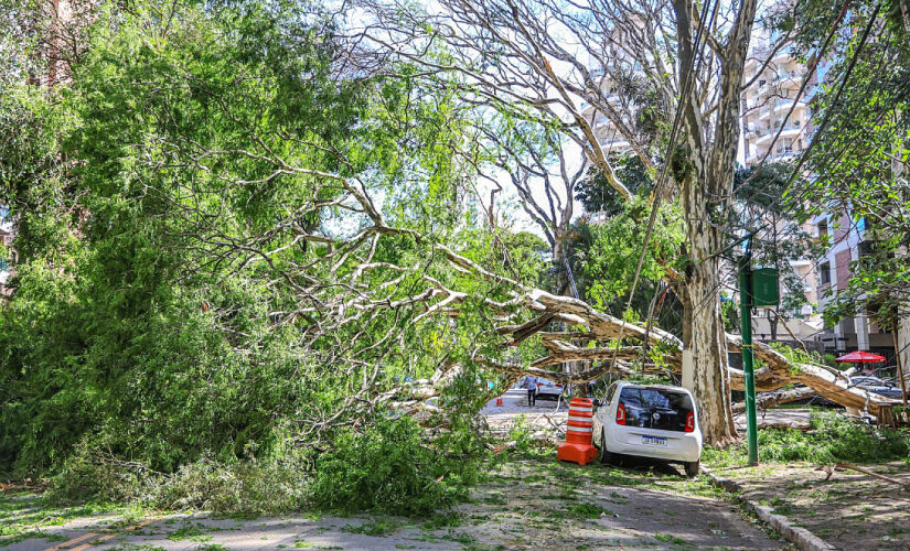 Reabertura aconteceu após uma reavaliação técnica, entretanto, algumas áreas do parque seguem interditadas