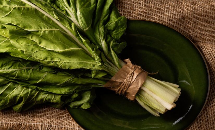 A acelga japonesa mizuna se destaca pela resistência ao sol forte e pela colheita contínua mesmo nos meses mais quentes