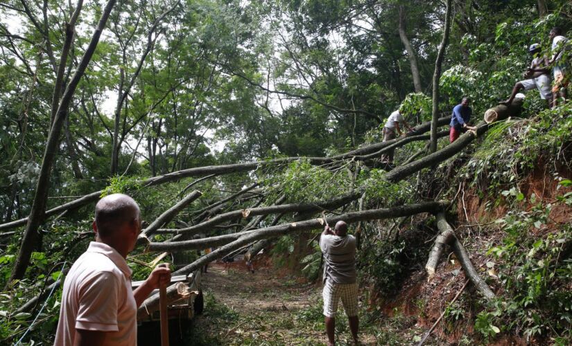 No  último dia 7, a  chuva que caiu sobre o Rio de Janeiro causou alagamentos, quedas de árvores e deixou sete mortos