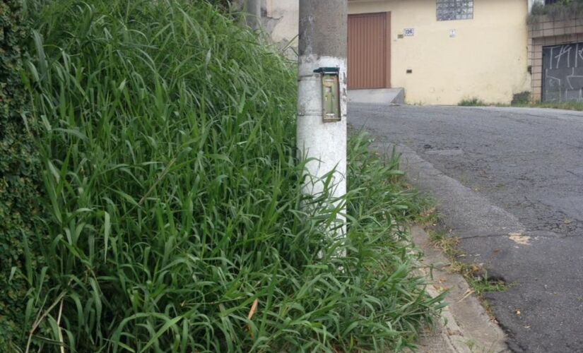  Mato toma a calçada na rua Dr. Joaquim Gomes de Souza 