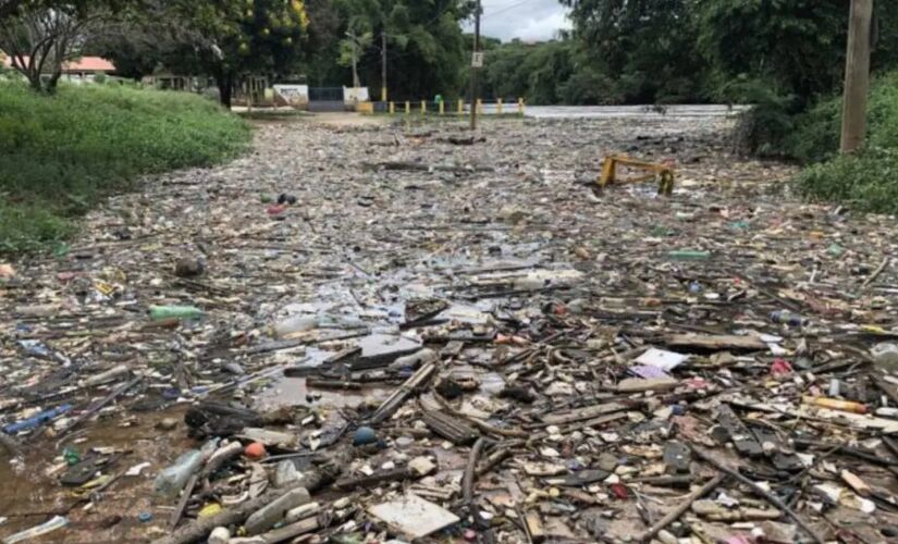Essa foi a terceira vez este ano que o lixo trazido pelo rio da Região Metropolitana de São Paulo se acumula em ruas da cidade