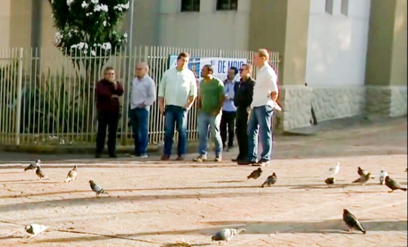 Após análise da Secretaria do Meio Ambiente, os oitis servem de poleiro para os pombos e a sua retirada vai forçar a dispersão das aves