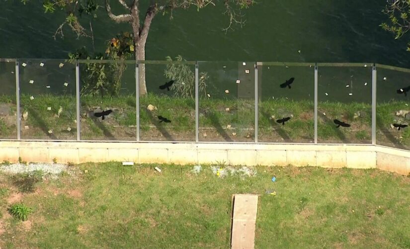 Segundo laudo da Polícia Científica, vidros se quebram devido à falta de estrutura do muro e à vibração provocada por carros