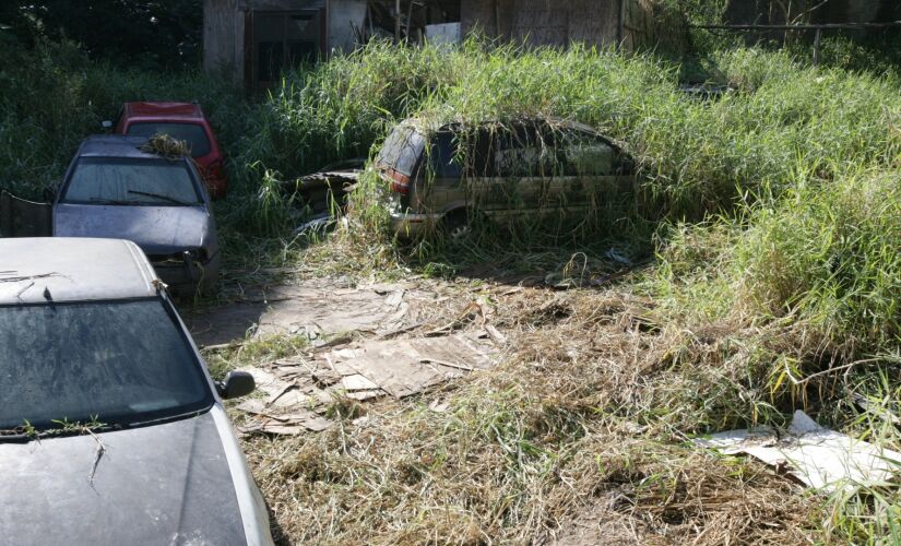 Terreno particular fica na rua João Della, na altura do número 150 no Jardim Maria Rosa, em Taboão