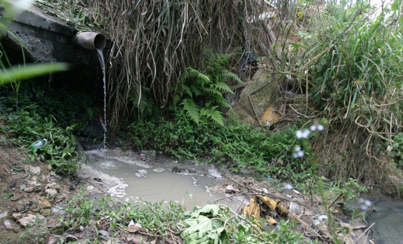 Mesmo com a rede de esgoto, muitas residências despejam os resíduos diretamente em córregos 