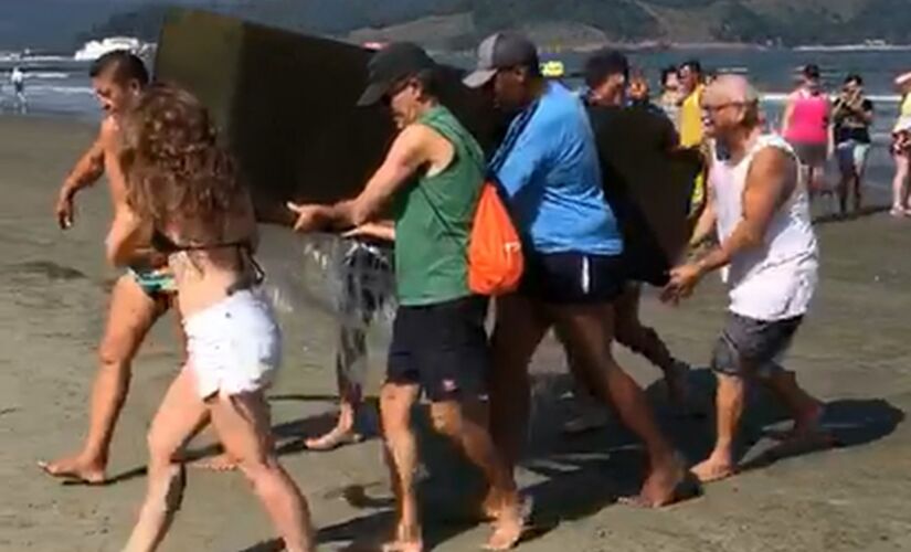 Banhistas e voluntários que faziam a coleta de microlixo nas praias de Santos se depararam com um sofá dentro do mar no sábado 