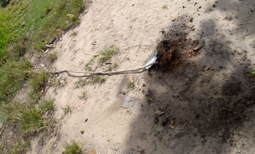 Segundo secretário de Meio Ambiente, atitude caracteriza crime ambiental por destruir ou danificar vegetação de preservação