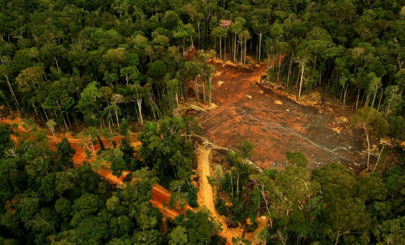 Desmatamento ilegal na Reserva de Desenvolvimento Sustentável Uatumã na Amazônia 
