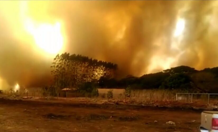 Em Rio Branco, no Acre, o fogo consome a mata; a Amazônia concentra 52,5% das queimadas 