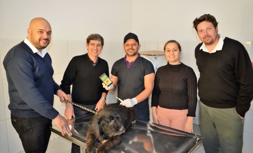 As implantações de microchip começaram na última sexta-feira  