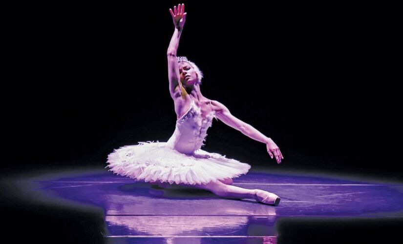 Espetáculo A Morte do Cisne, da São Paulo Cia. de Dança; atividades acontecem até o próximo dia 1º de setembro 