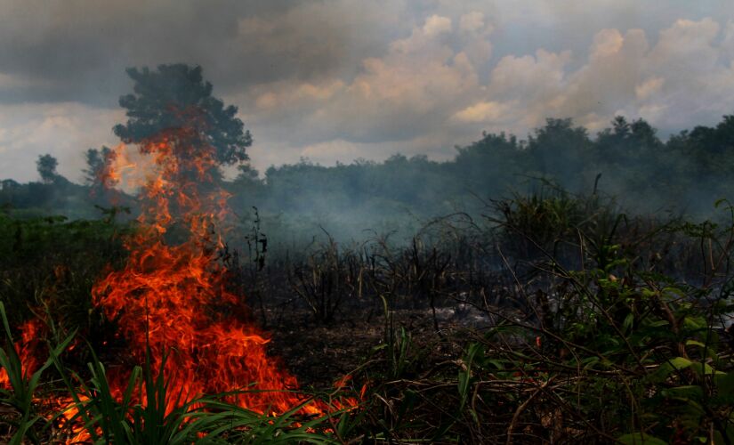 Queimada é vista em área de plantação de mandioca em Lábrea Amazonas; Lábrea é uma das cidades em estado do emergência