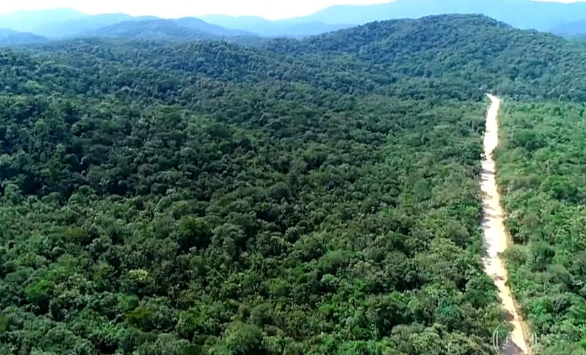 O centro logístico é um investimento privado de R$ 780 milhões e pode desmatar 38 hectares de Mata Atlântica que fica na cidade