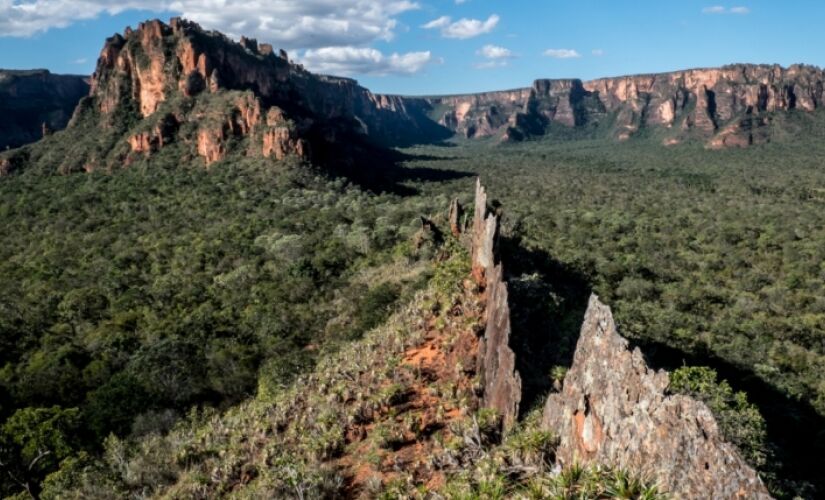 A vista da Chapada dos Guimarães, no Mato Grosso, impressiona pelas formações rochosas. Criadas pela ação da chuva, rios e vento, os paredões se destacam em meio ao verde do cerrado e o céu, quase sempre azul. É bom sempre levar um boné ou chapéu e óculos