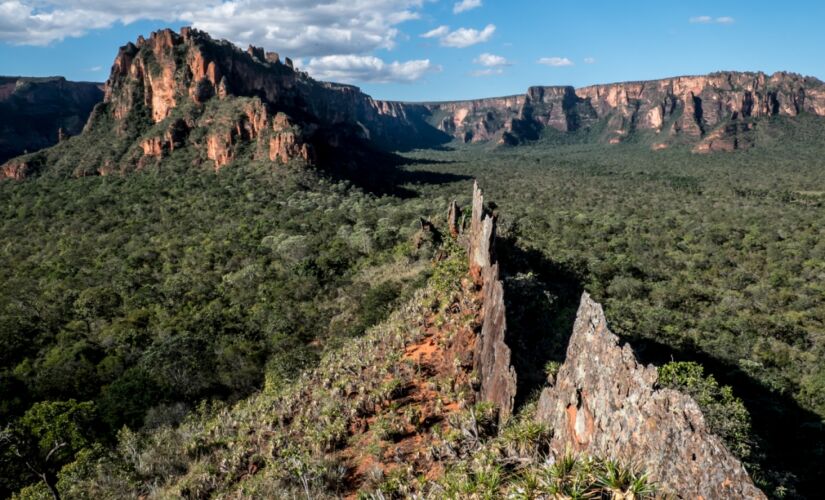 A vista da Chapada dos Guimarães, no Mato Grosso, impressiona pelas formações rochosas. Criadas pela ação da chuva, rios e vento, os paredões se destacam em meio ao verde do cerrado e o céu, quase sempre azul. É bom sempre levar um boné ou chapéu e óculos