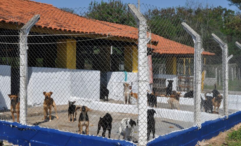 O evento na sede do CCZ, rua João Avancini, 480, Chácara Bazzo, será realizado das 9h às 14h
