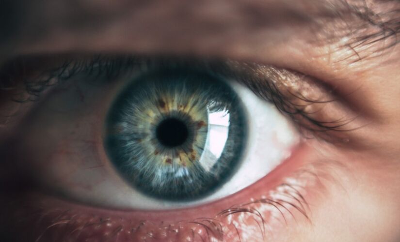Oftalmologistas oferecem orienta&ccedil;&atilde;o online sobre retinopatia diab&eacute;tica
