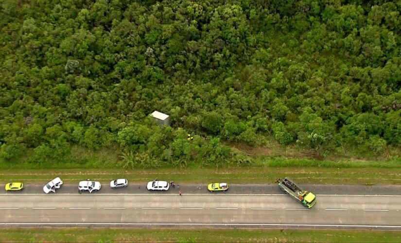 Criminosos abandonaram caminhão na mata às margens da rodovia dos Imigrantes, em São Bernardo do Campo, no ABC