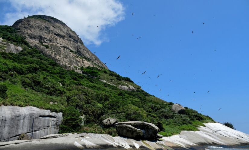 Com grande biodiversidade marinha e insular, Refúgio de Alcatrazes atrai mergulhadores do Brasil e do mundo