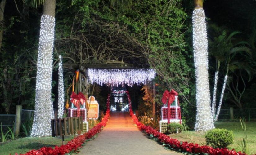 Parte da decoração do município de Guararema foi confeccionada com garrafas PET