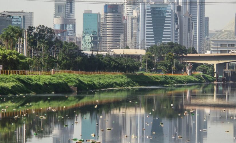 Rio Pinheiros