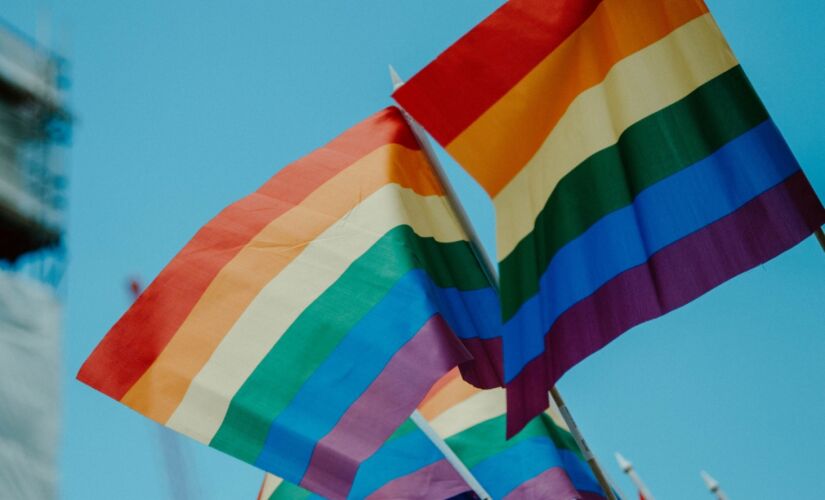 Pelo segundo ano a Parada do Orgulho LGBT de S&atilde;o Paulo ser&aacute; realizada de forma on-line