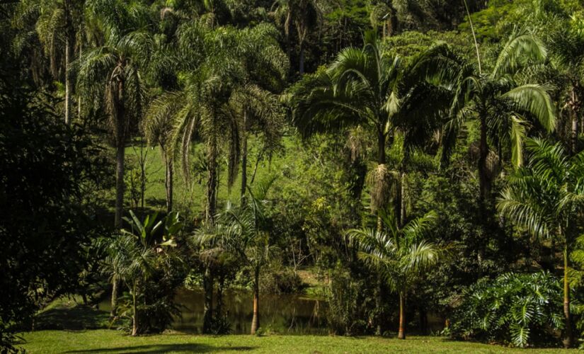 Localizado em Parelheiros, o Parque Natural Municipal Itaim possui área aproximada de 477 hectares