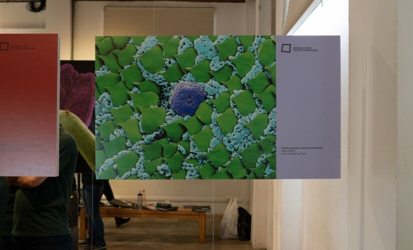 A exposição gratuita faz parte da 3ª Mostra de Arte Científica Brasileira; mostra foi organizada no âmbito do projeto ArtBio