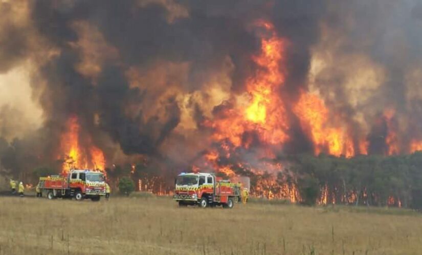 Os incêndios devastaram a Austrália