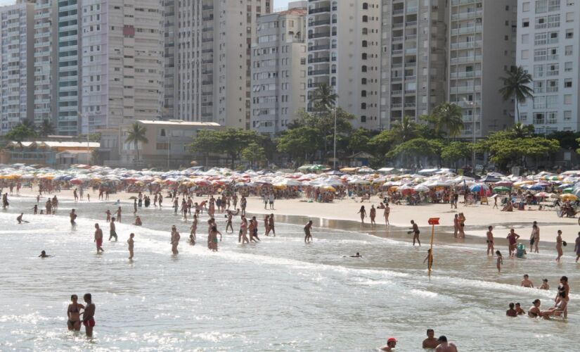 Os municípios com maior registro de ocorrências foram Guarujá, Praia Grande, Itanhaém e Ubatuba