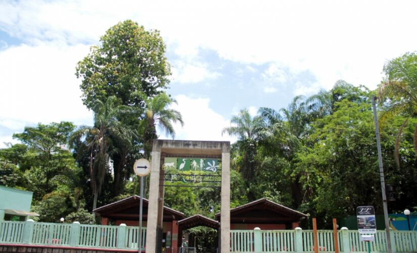 Os visitantes também poderão conferir réplicas de crânios de hominídeos; exposição segue aberta até o mês de abril 