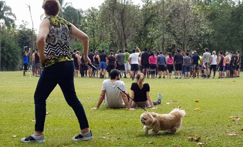 O uso contínuo é recomendado, especialmente se o pet irá ficar exposto ao sol