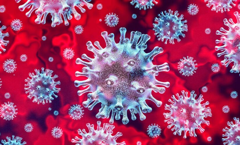 Os primeiros testes da vacina em humanos foram conclu&iacute;dos neste m&ecirc;s, mas a expectativa &eacute; realizar testes em larga escala em agosto, segundo a &quot;Reuters&quot;