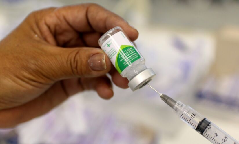 O p&uacute;blico-alvo da primeira etapa da terceira fase foram pessoas com defici&ecirc;ncia, crian&ccedil;as de 6 meses a menores de 6 anos, gestantes e m&atilde;es no p&oacute;s-parto at&eacute; 45 dias

