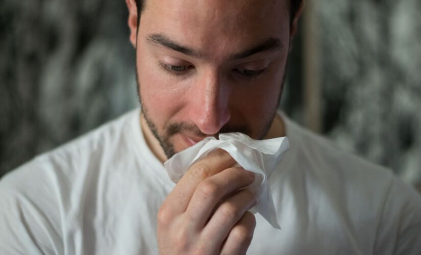 O v&iacute;rus influenza A H3N2est&aacute; circulando no estado de S&atilde;o Paulo