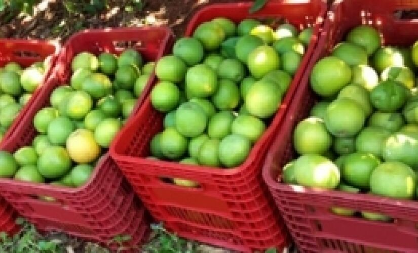 O motivo de tanta alta: o calor excessivo na primavera e neste início de verão