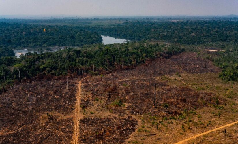 De agosto de 2019 a julho de 2020, os alertas de desmatamento na Amazônia cresceram 
34%, segundo dados divulgados pelo  Instituto Nacional de Pesquisas Espaciais (Inpe)