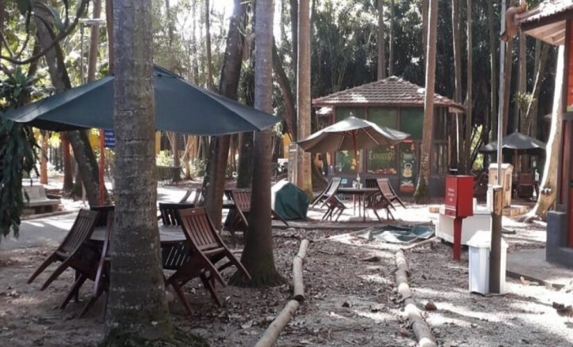 Espaço de Leitura do Parque da Água Branca, após caminhão retirar os livros do local