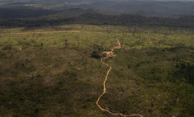 O desmatamento na Amazônia aumentou 25% no primeiro semestre deste ano , segundo o Inpe