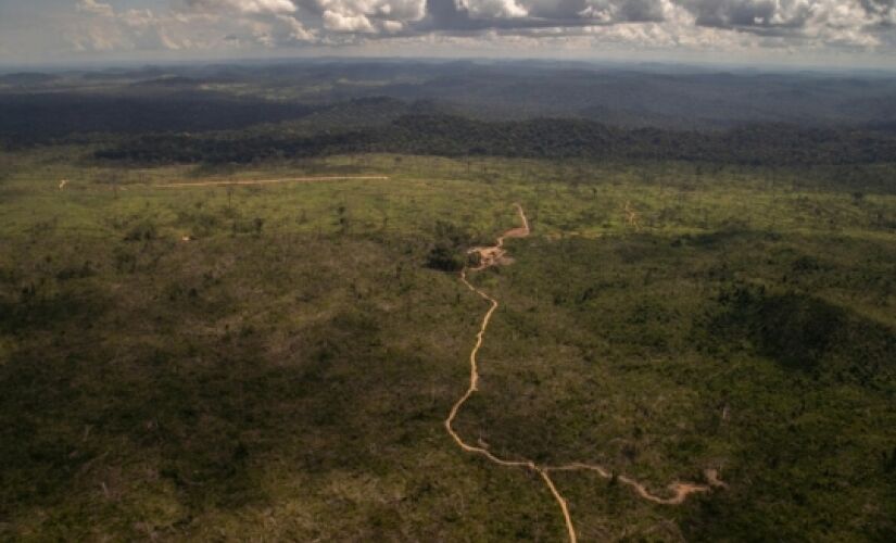 Amazônia tem recorde de desmate em abril, com mais 1.000 km2 derrubados
