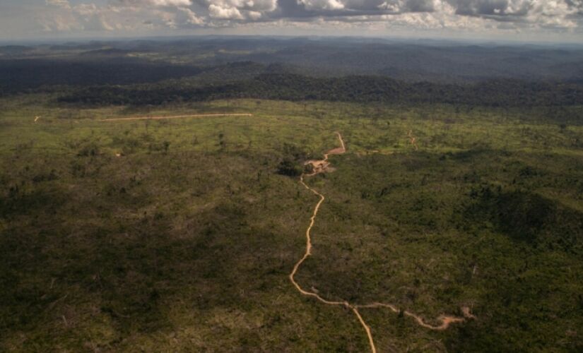 Amazônia tem recorde de desmate em abril, com mais 1.000 km2 derrubados