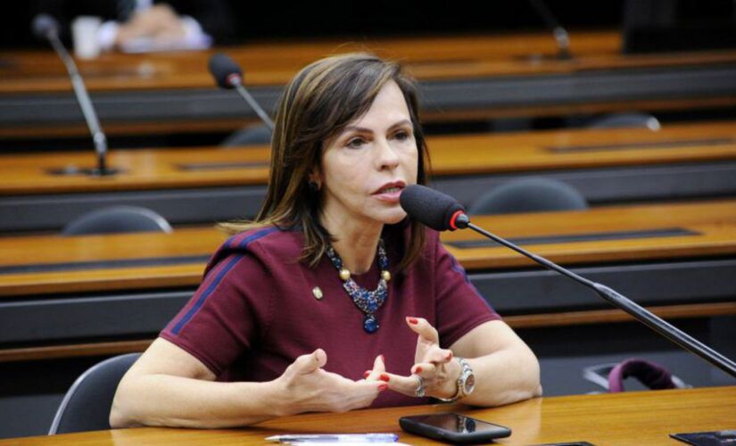 A relatora da matéria, deputada Dorinha Seabra (DEM-TO); deputados devem votar texto hoje