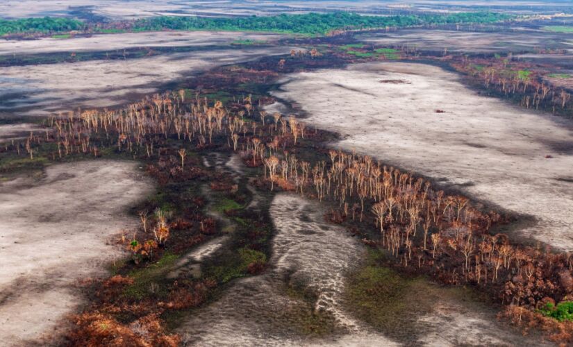 De acordo com o documento, a Amaz&ocirc;nia tem o risco de se transformar de floresta tropical em uma savana com o aumento da devasta&ccedil;&atilde;o
