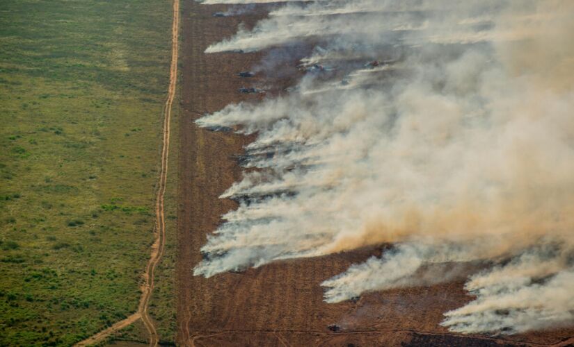 Desmatamento e monitoramento de incêndios na Amazônia em julho de 2020 