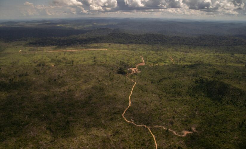 O desmatamento na Amazônia aumentou 25% no primeiro semestre deste ano , segundo o Inpe