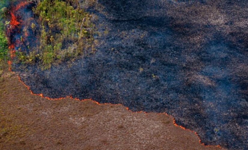 Do valor total, R$ 410 milhões serão usados na Operação Verde Brasil 2, que prevê o combate a crimes ambientais na Amazônia 
