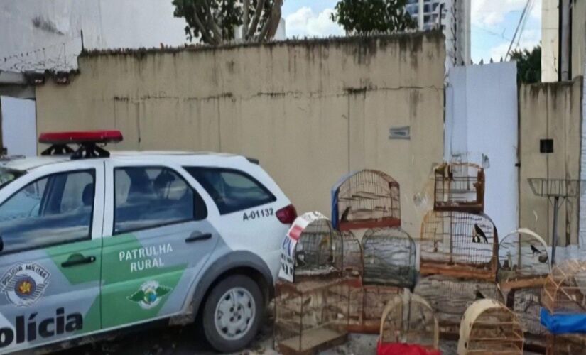 Policiais também apreenderam 15 aves silvestres que eram mantidas no cativeiro ilegalmente