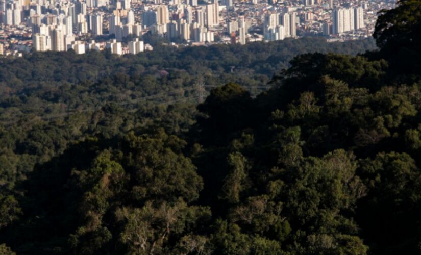 Parque da Cantareira