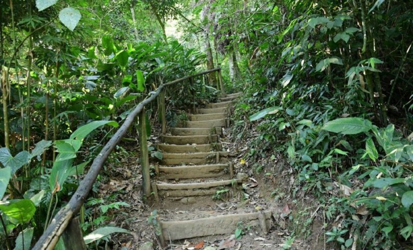 Trilhas só podem ser acessadas por turistas com auxílio de guias